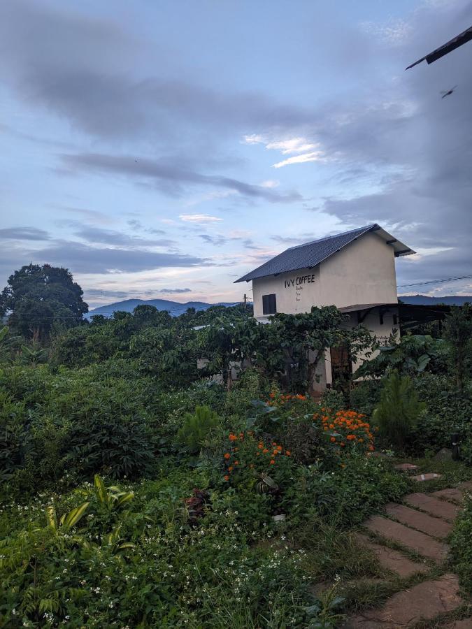 Ivy Coffee Farm - Garden House Daire Duc Trong Dış mekan fotoğraf