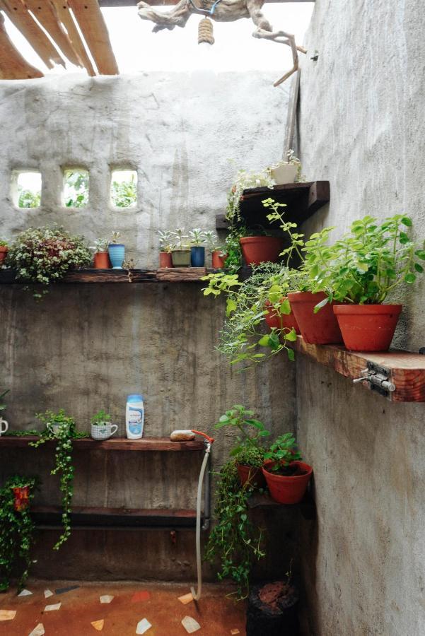Ivy Coffee Farm - Garden House Daire Duc Trong Dış mekan fotoğraf