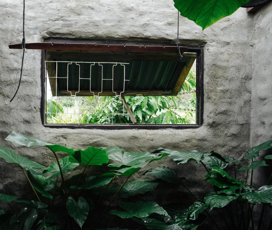 Ivy Coffee Farm - Garden House Daire Duc Trong Dış mekan fotoğraf