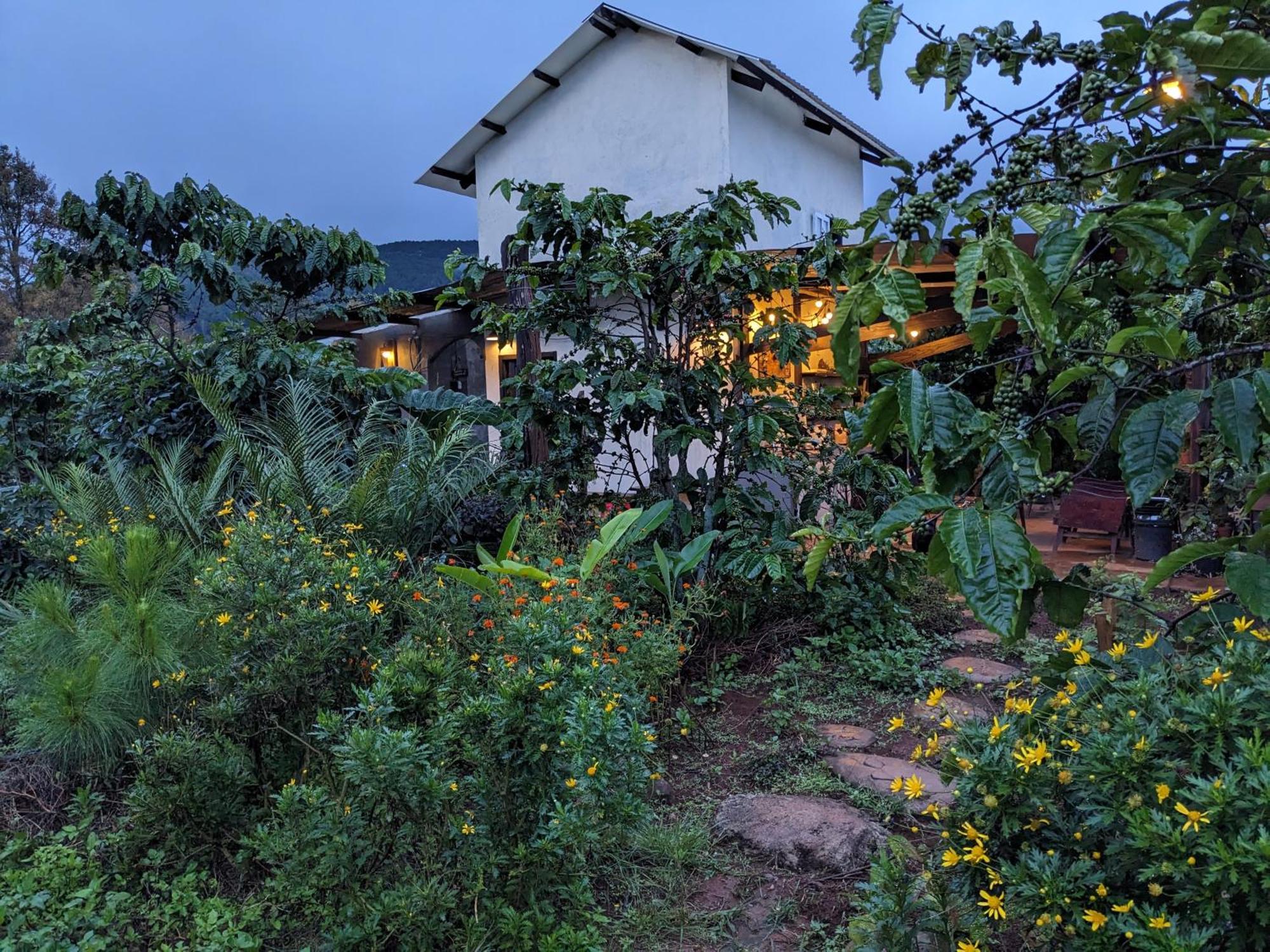 Ivy Coffee Farm - Garden House Daire Duc Trong Dış mekan fotoğraf