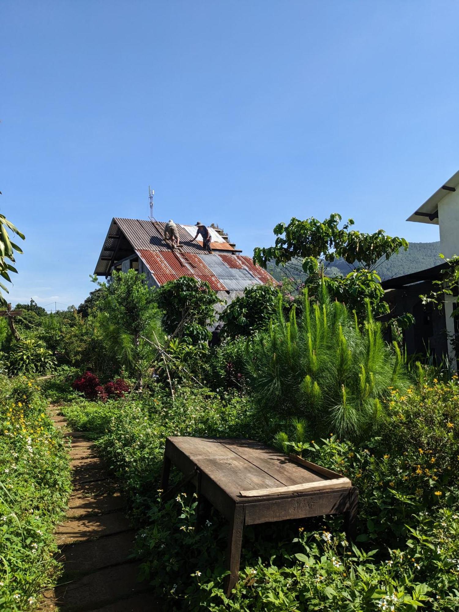 Ivy Coffee Farm - Garden House Daire Duc Trong Dış mekan fotoğraf