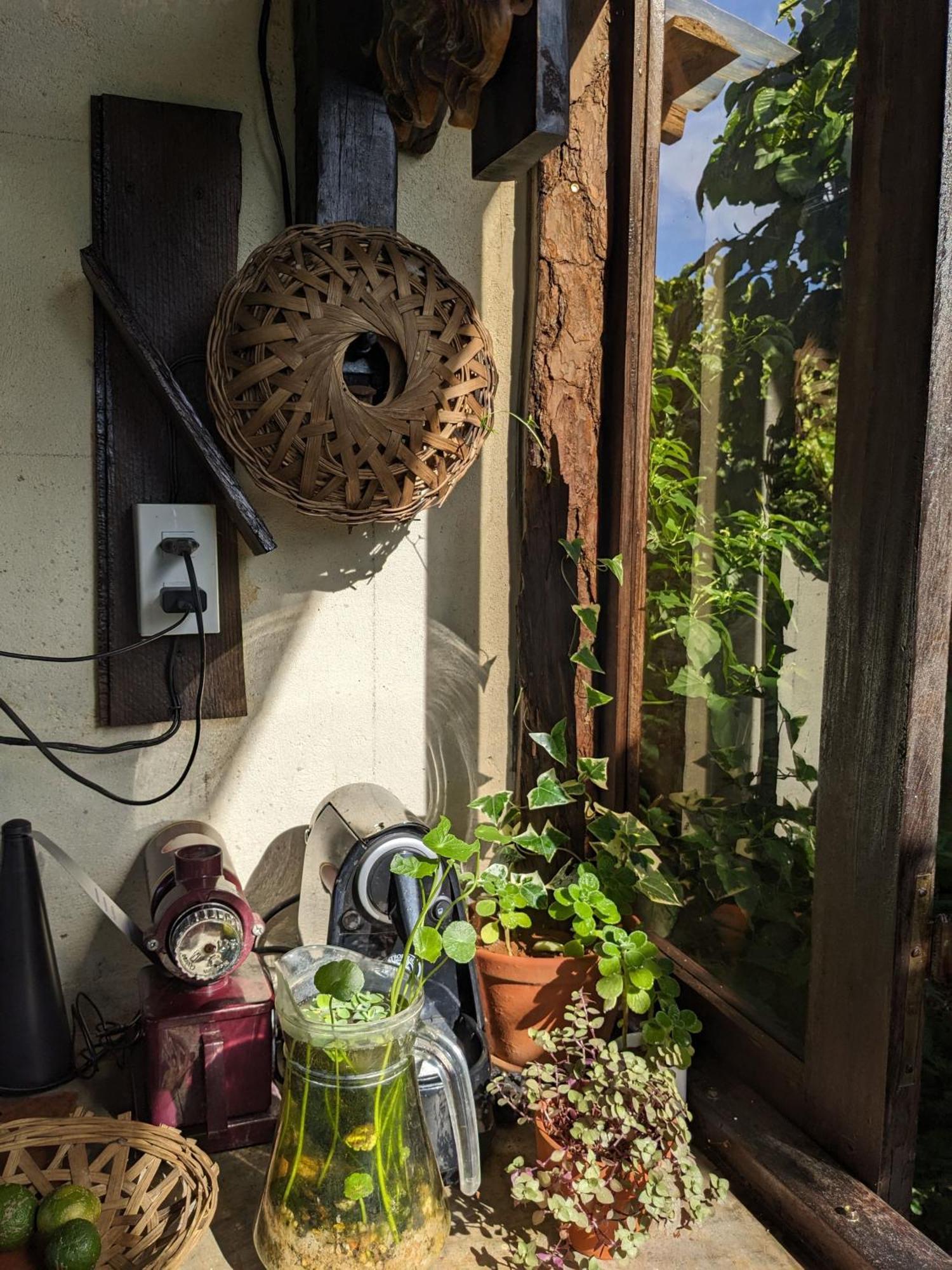 Ivy Coffee Farm - Garden House Daire Duc Trong Dış mekan fotoğraf