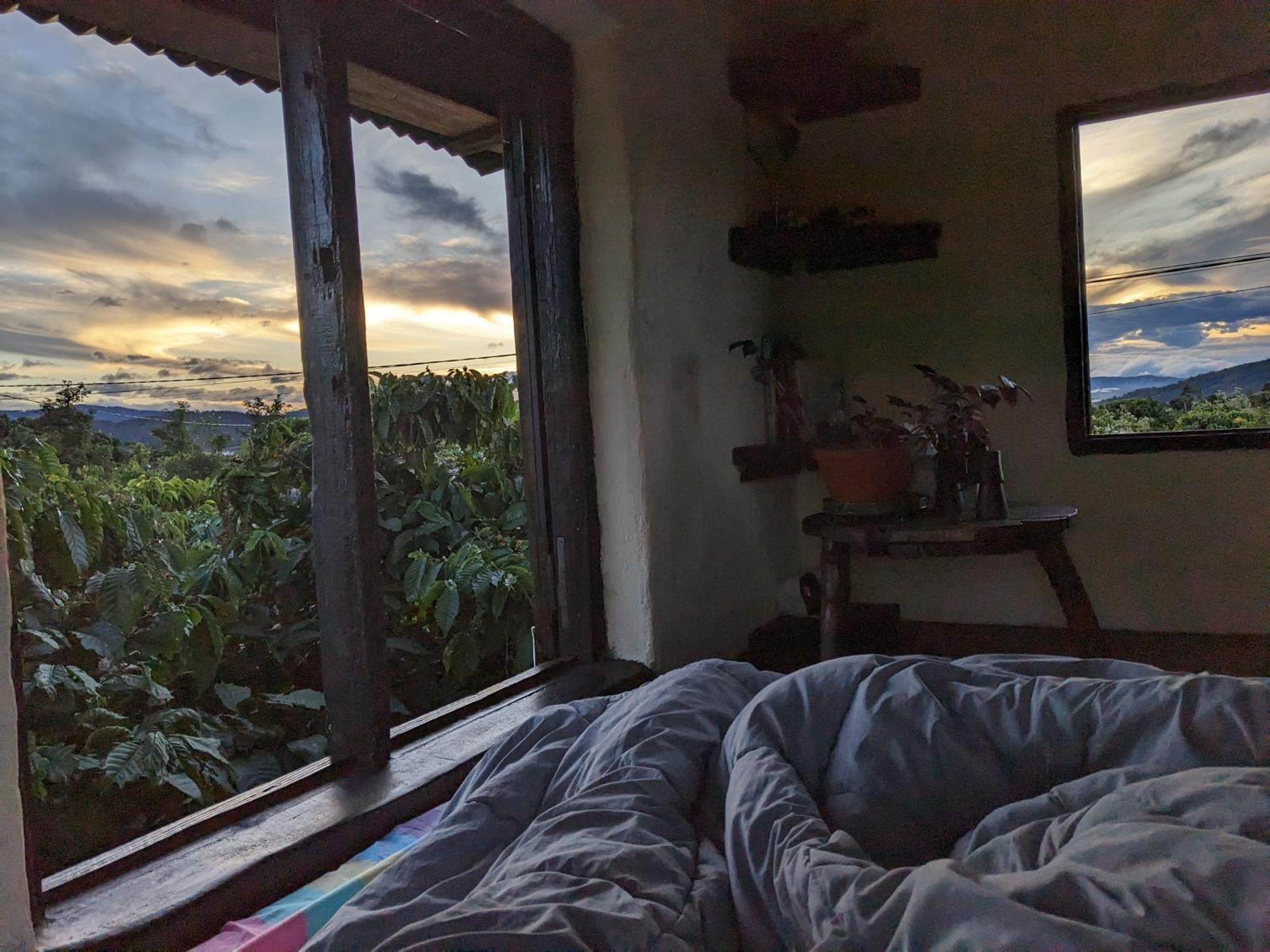 Ivy Coffee Farm - Garden House Daire Duc Trong Dış mekan fotoğraf