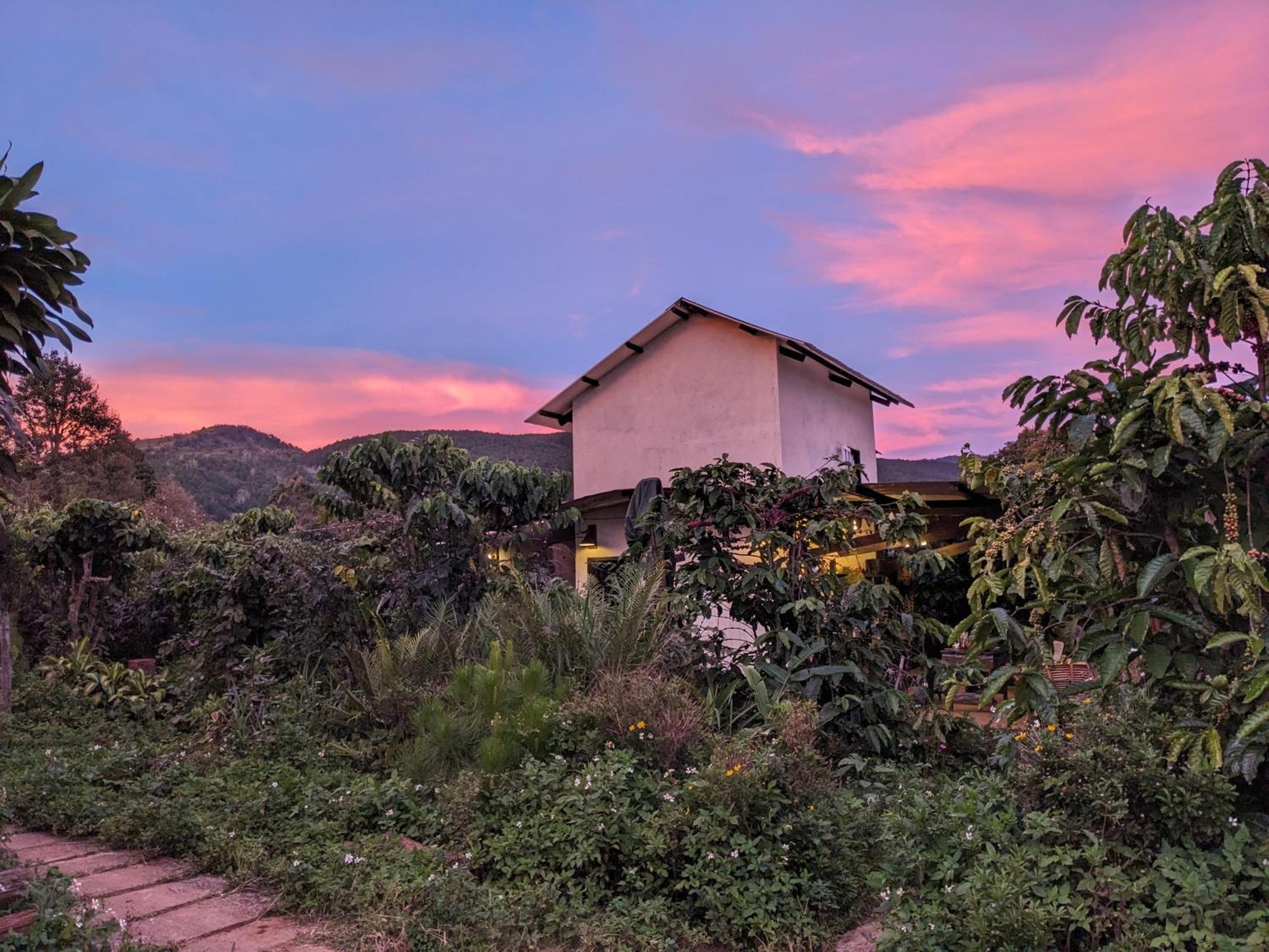Ivy Coffee Farm - Garden House Daire Duc Trong Dış mekan fotoğraf