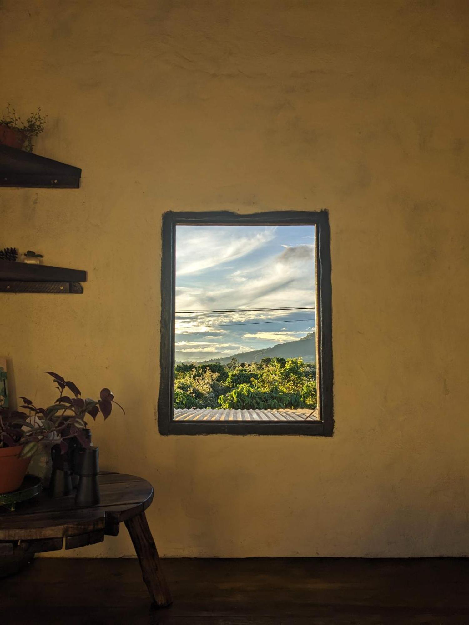Ivy Coffee Farm - Garden House Daire Duc Trong Dış mekan fotoğraf