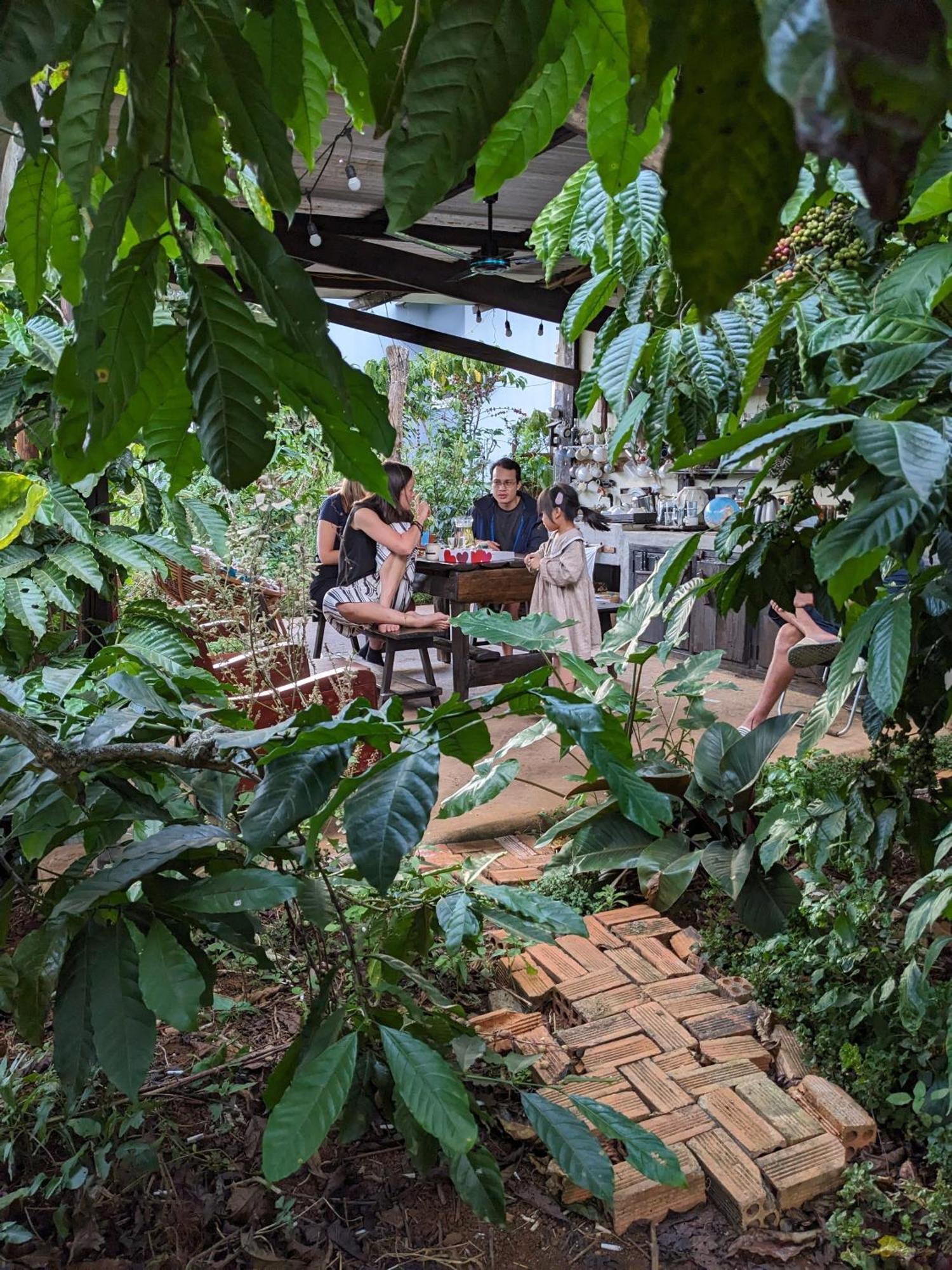 Ivy Coffee Farm - Garden House Daire Duc Trong Dış mekan fotoğraf
