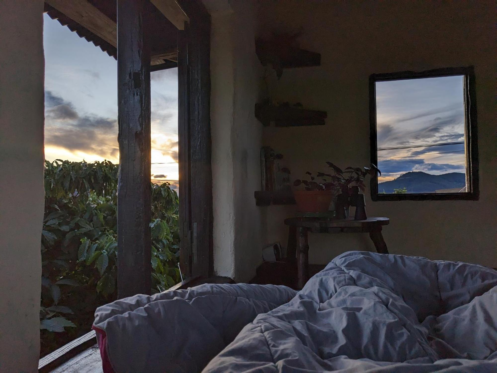Ivy Coffee Farm - Garden House Daire Duc Trong Dış mekan fotoğraf