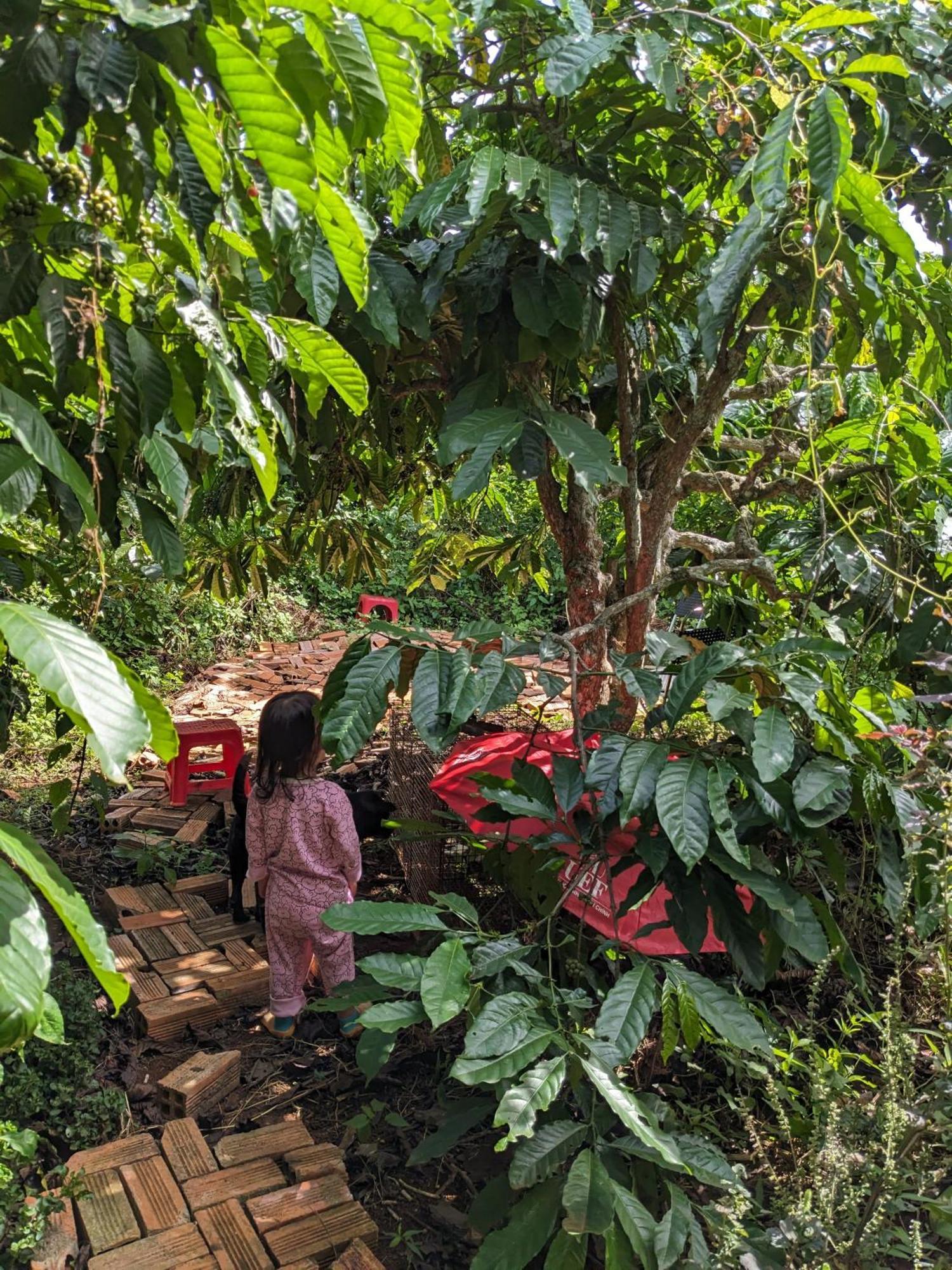 Ivy Coffee Farm - Garden House Daire Duc Trong Dış mekan fotoğraf