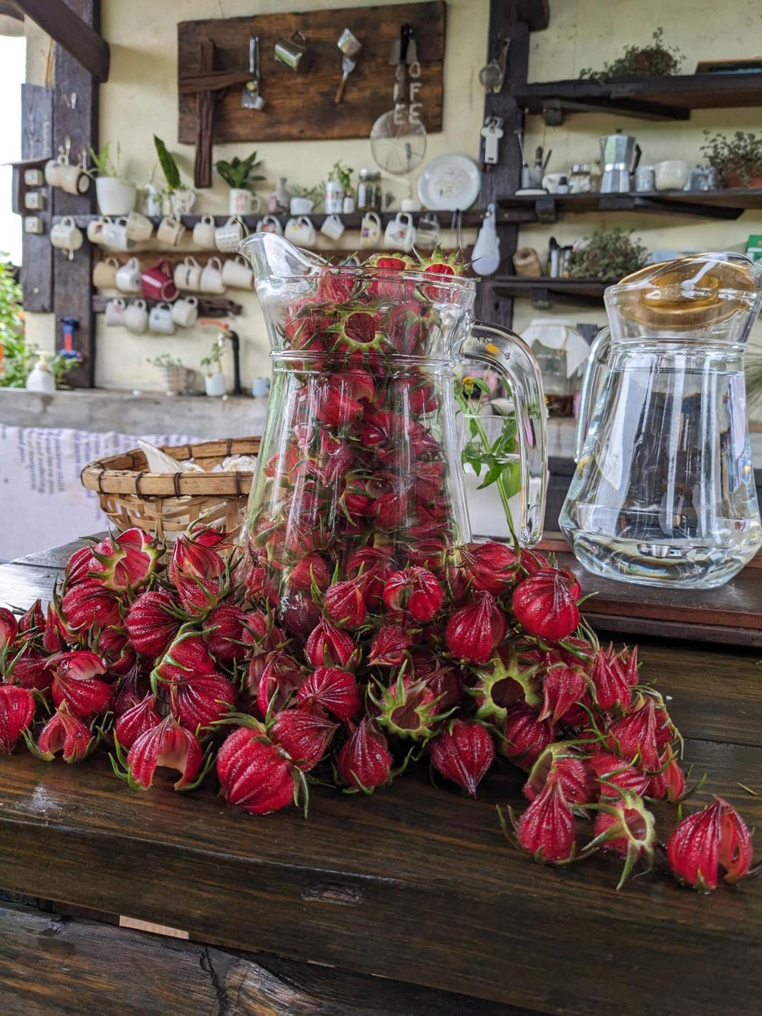 Ivy Coffee Farm - Garden House Daire Duc Trong Dış mekan fotoğraf