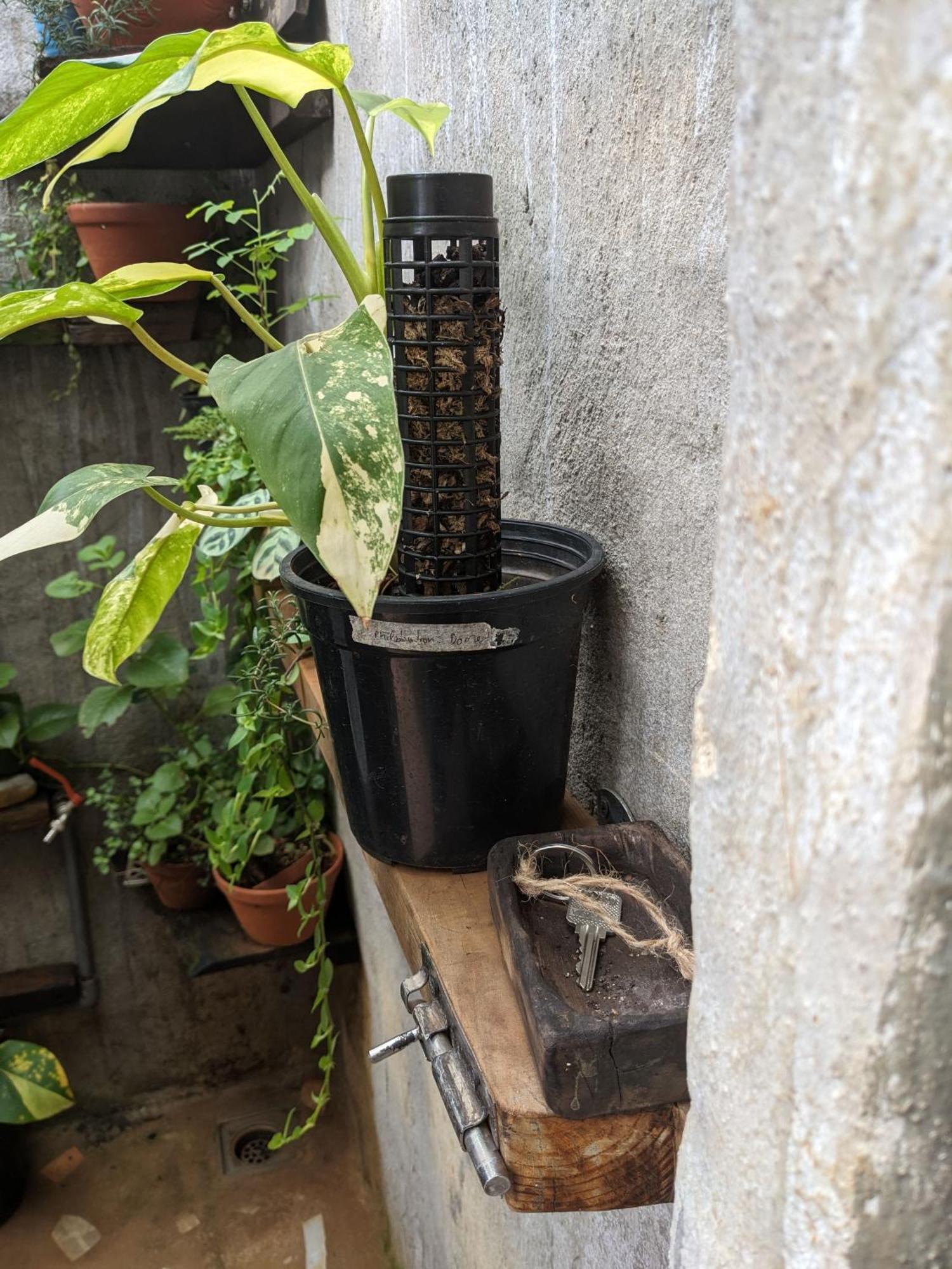 Ivy Coffee Farm - Garden House Daire Duc Trong Dış mekan fotoğraf