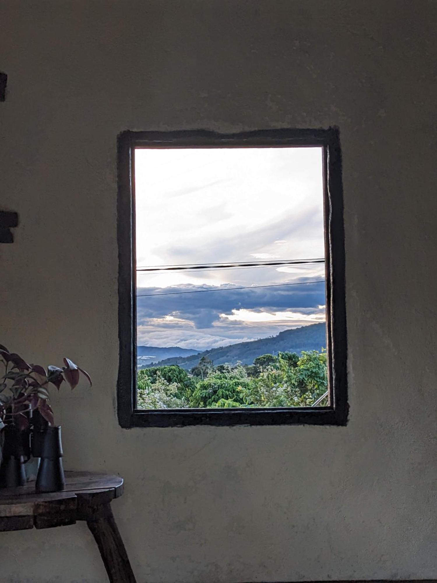 Ivy Coffee Farm - Garden House Daire Duc Trong Dış mekan fotoğraf