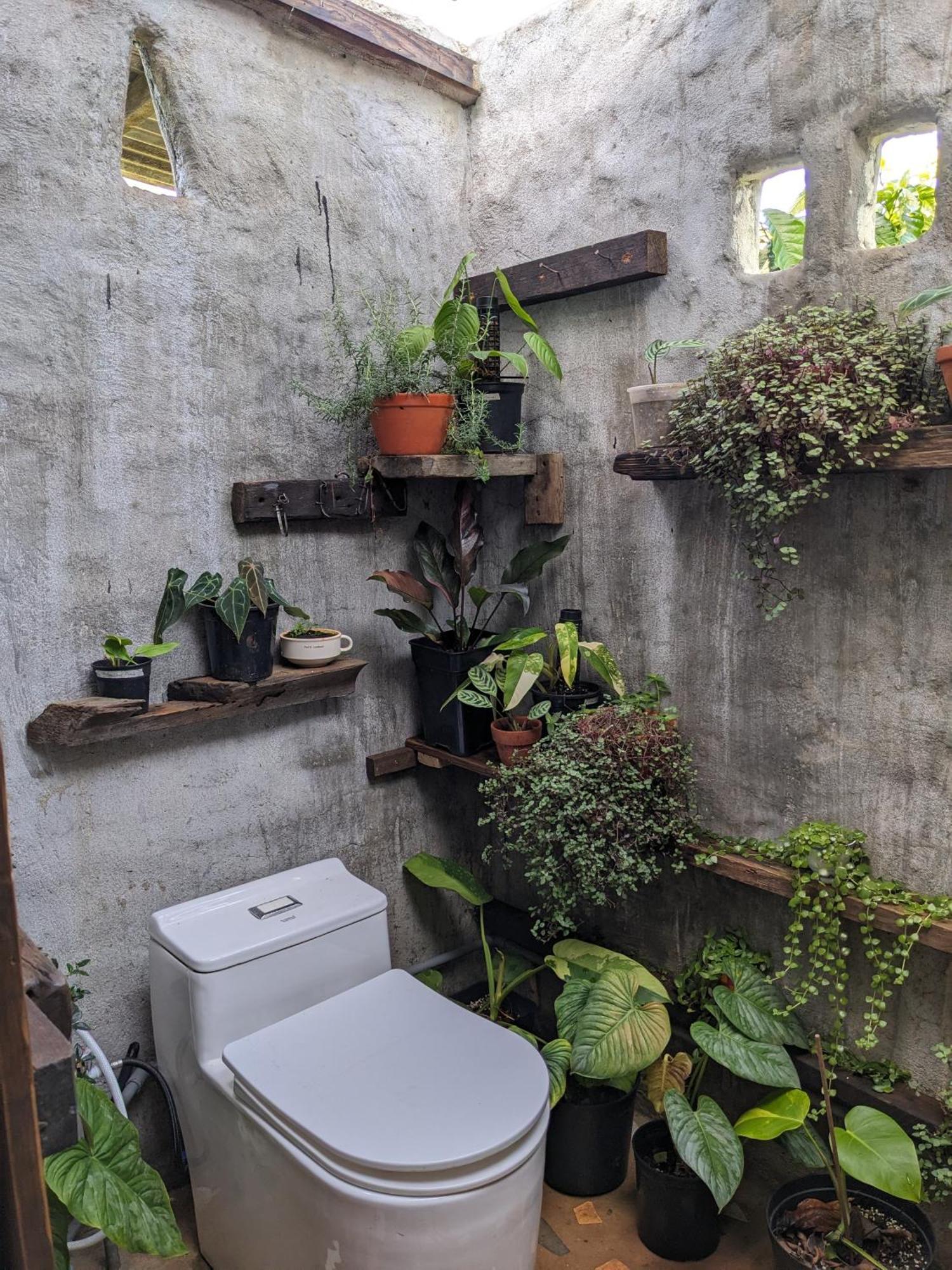 Ivy Coffee Farm - Garden House Daire Duc Trong Dış mekan fotoğraf