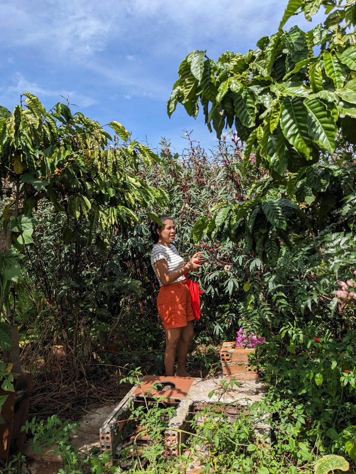 Ivy Coffee Farm - Garden House Daire Duc Trong Dış mekan fotoğraf