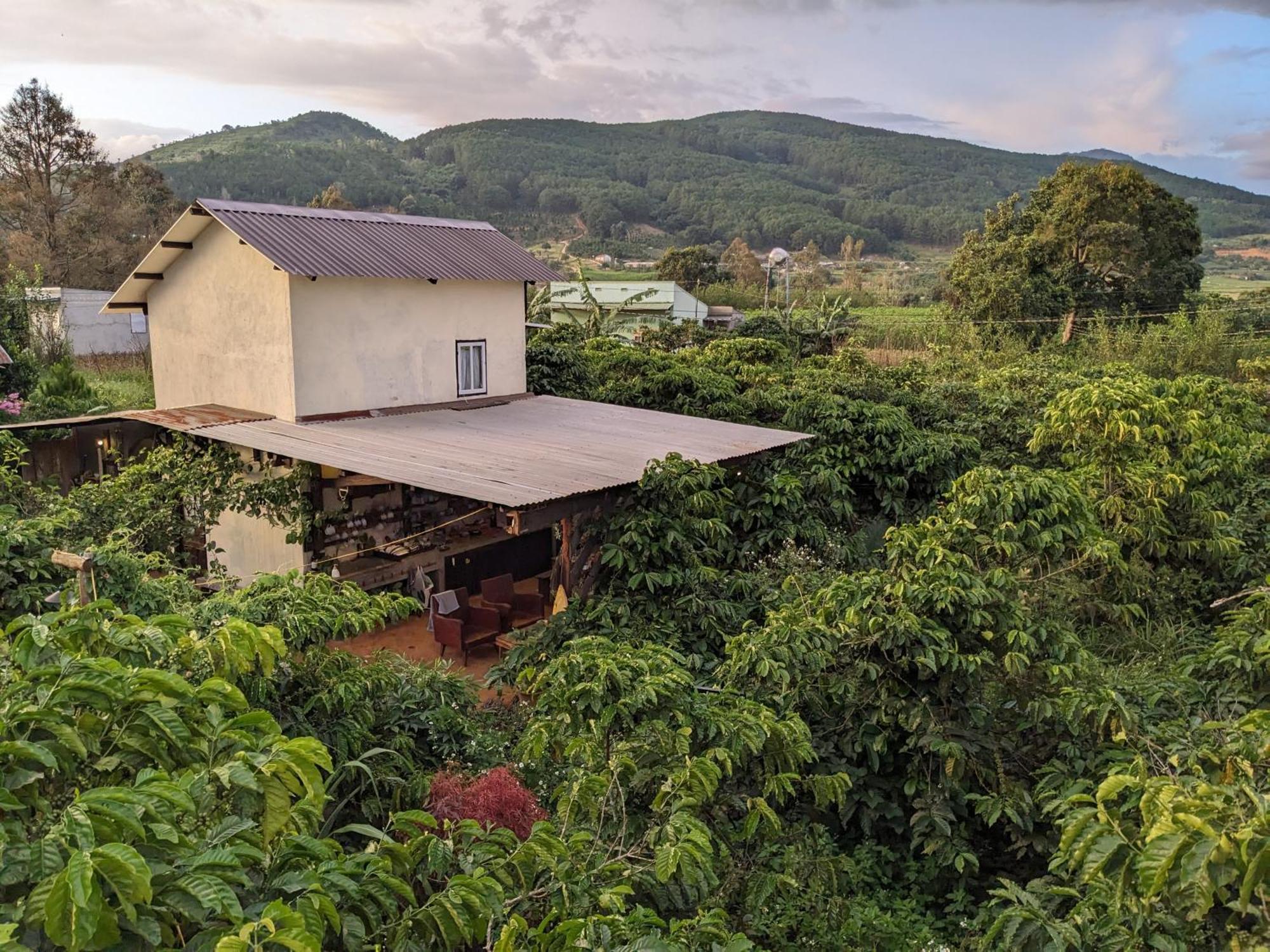 Ivy Coffee Farm - Garden House Daire Duc Trong Dış mekan fotoğraf