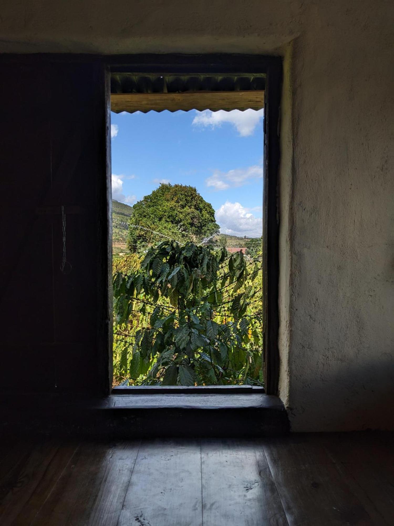 Ivy Coffee Farm - Garden House Daire Duc Trong Dış mekan fotoğraf