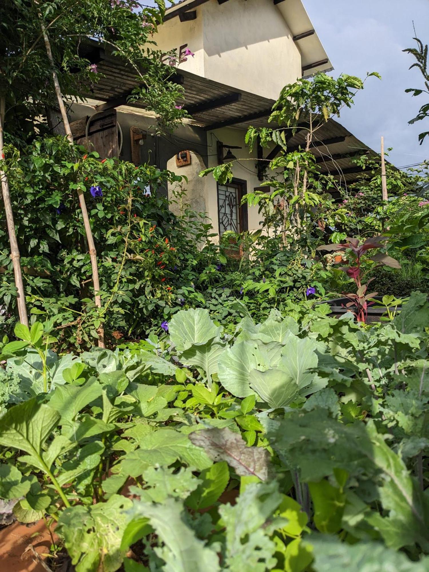 Ivy Coffee Farm - Garden House Daire Duc Trong Dış mekan fotoğraf